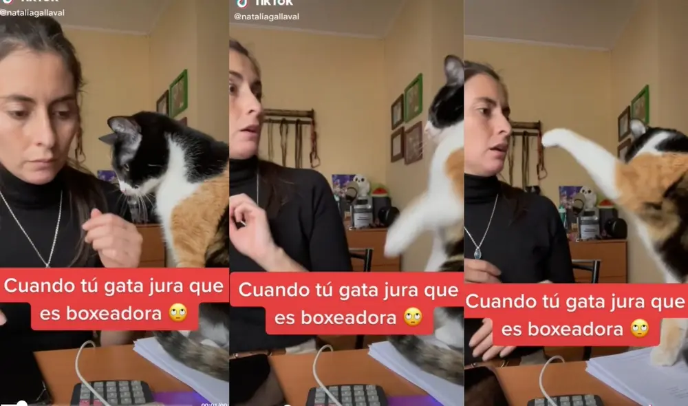 La joven suele subir varios videos con su mascota donde muestra la relación que tiene con ella. Foto: captura de TikTok