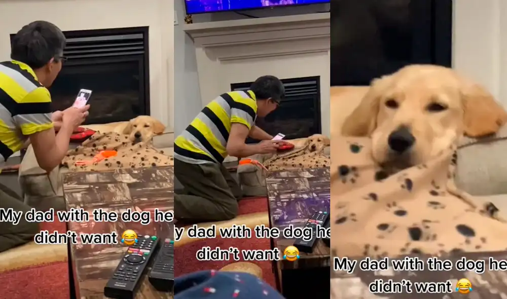 El perrito disfruta de su descanso hasta que su dueño decide realizar una sesión de fotos con él como su modelo. Foto: captura de TikTok El perrito disfruta de su descanso hasta que su dueño decide realizar una sesión de fotos con él como su modelo. Foto: captura de TikTok