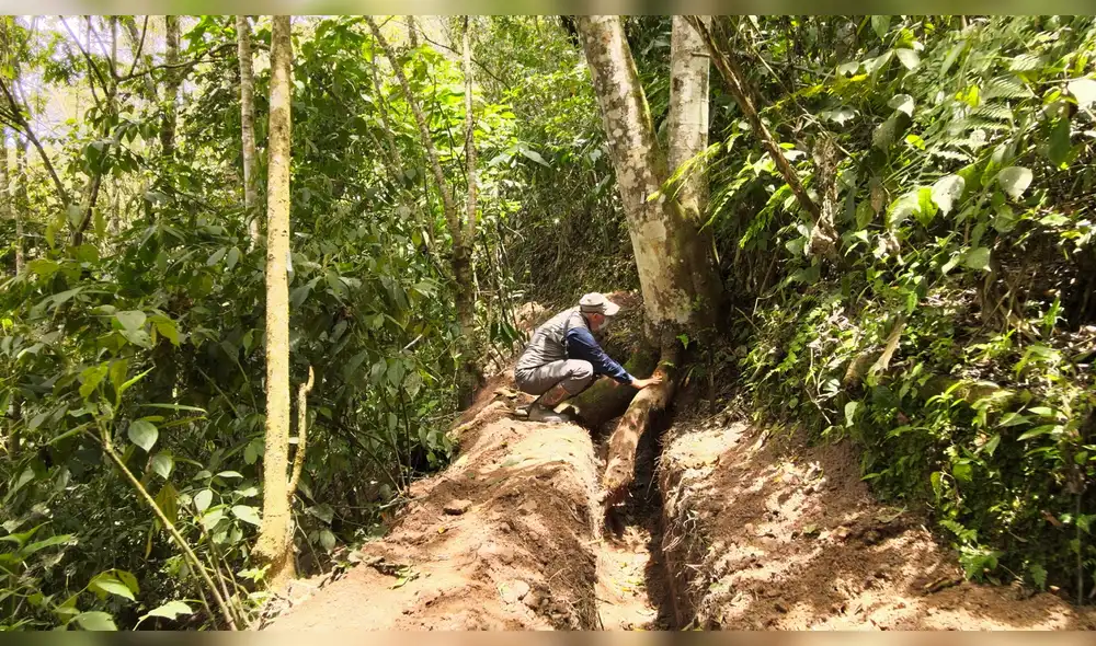 Las zanjas se extienden por casi medio kilómetro. Afectaron las raíces de decenas de árboles protegidos”.