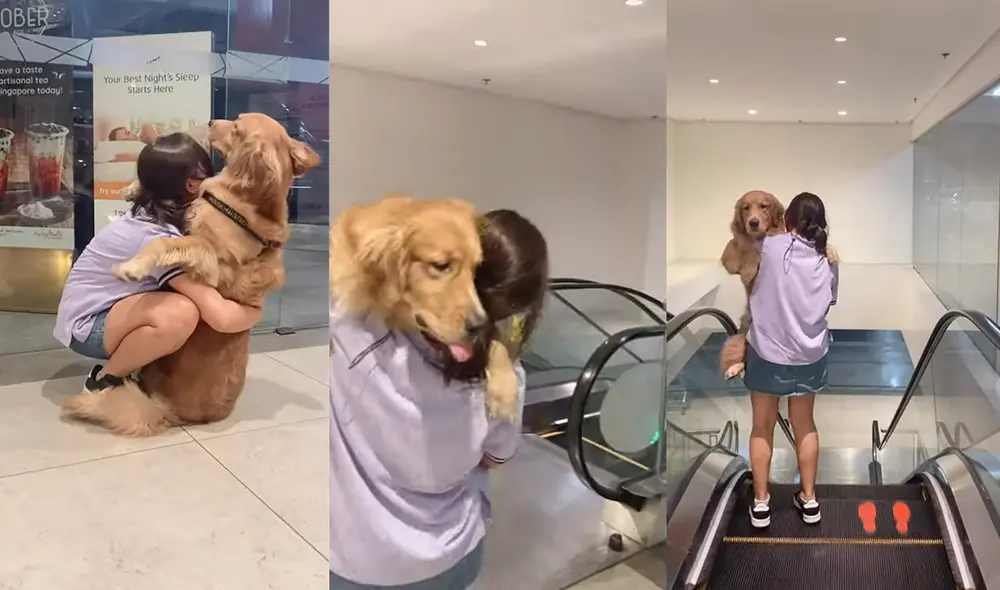 Esto ocurrió en un centro comercial de Quezon City, Filipinas. Foto: captura de YouTube