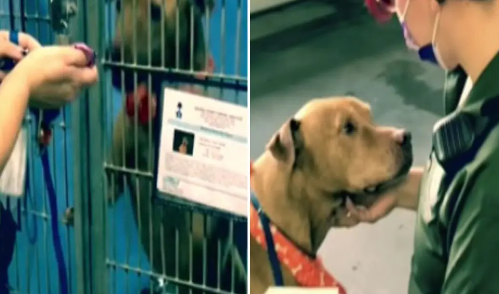 Pese a que recibía los mejores cuidados, él necesitaba una familia. Afortunadamente, la larga espera terminó.  Foto: captura de Facebook