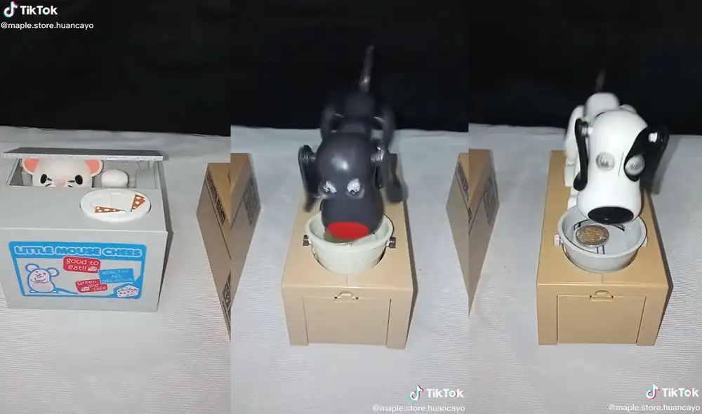 Este clip viene acompañado de un sonido que se encuentra en tendencia. Foto: captura de TikTok