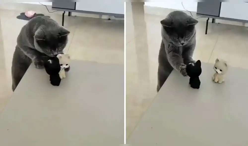 Dos muñecos de juguete y un gato son los protagonistas de un video viral. Foto: captura de Facebook