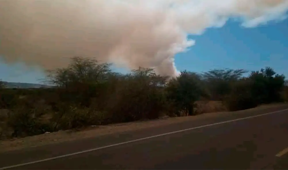 Caña Brava pertenece al Grupo Romero. Foto: Diario El Regional