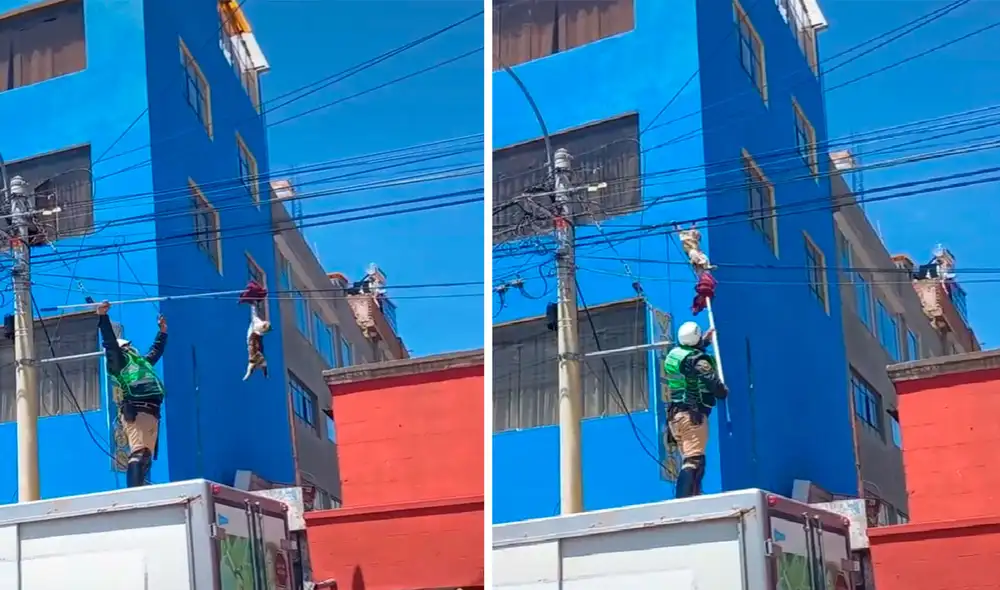 Tras caer sano y salvo, el gatito callejero salto rápidamente hacia el suelo y se fue corriendo asustado. Foto: captura de TikTok