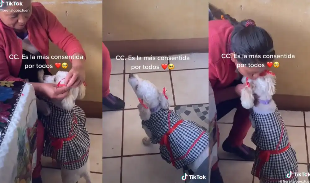 TikTok viral: Mujer sorprende en las redes al mostrar cómo engríe a su ...
