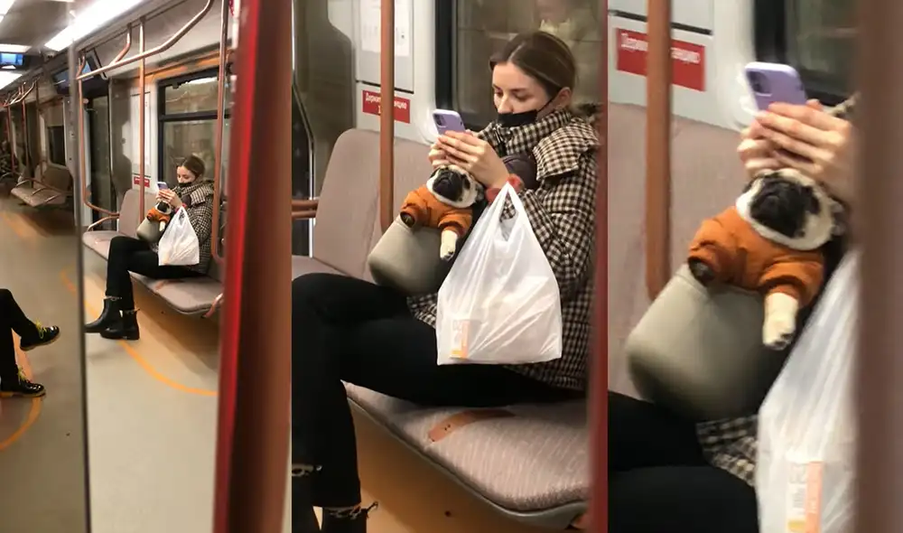 Esto ocurrió en Rusia. El perrito durmió de forma profunda. Foto: captura de YouTube Esto ocurrió en Rusia. El perrito durmió de forma profunda. Foto: captura de YouTube