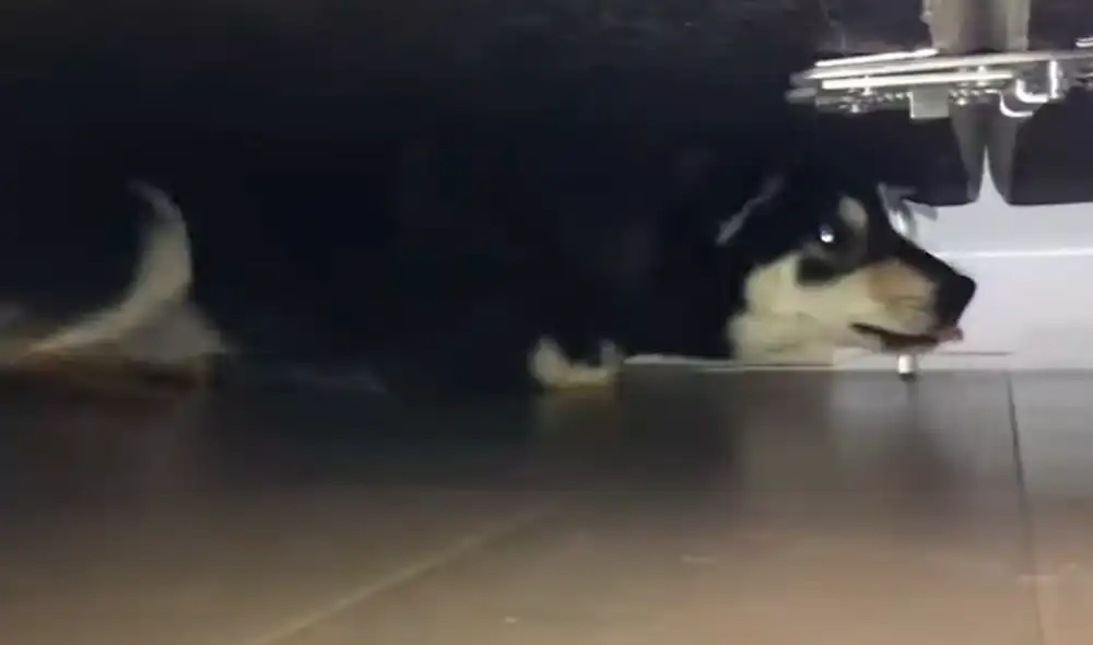 El video ha sido compartido en la página BVIRAL. Foto: captura de Facebook El video ha sido compartido en la página BVIRAL. Foto: captura de Facebook