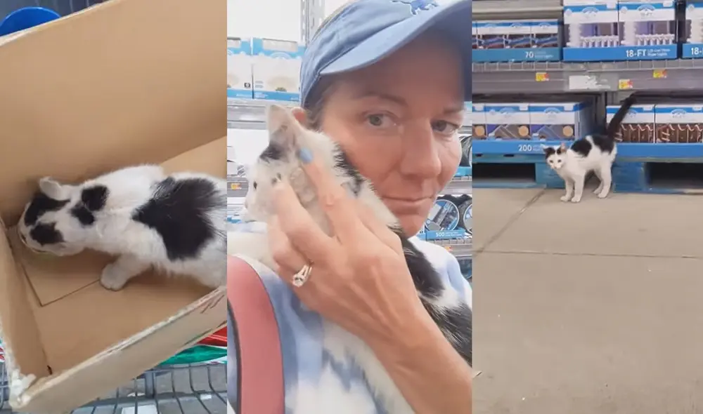 La mujer se encontraba realizando las compras navideñas. Foto: captura de YouTube