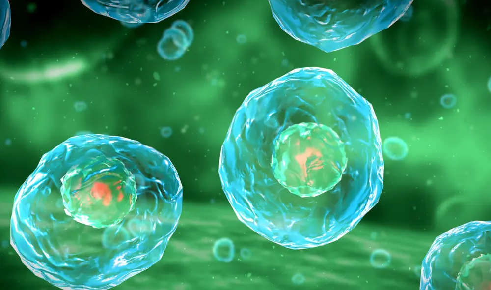 El eslabón perdido entre la química y el origen de la biología ha sido tema de debate durante siglos. Foto: Stock Photo/darnell_vfx