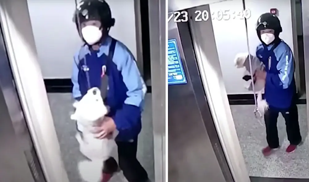 Un perrito aprovechó que no había nadie en su edificio para realizar unas travesuras; sin embargo, puso en peligro su vida. Foto: captura de YouTube