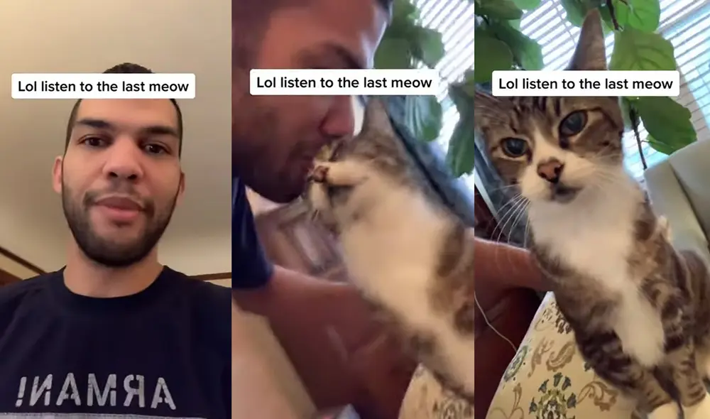 La tierna gatita reside en la ciudad de Tacoma, Washington, USA. Foto: captura de YouTube