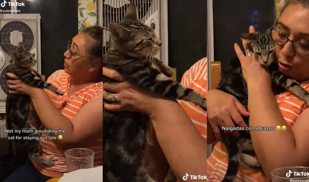 La mujer advirtió a su gatita de que podría ser robada si salía de noche. Foto: captura de TikTok