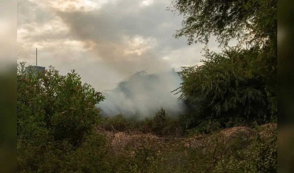 Humareda se extendió por las calles de La Huaca. Foto: Malú Ramahí Humareda se extendió por las calles de La Huaca. Foto: Malú Ramahí