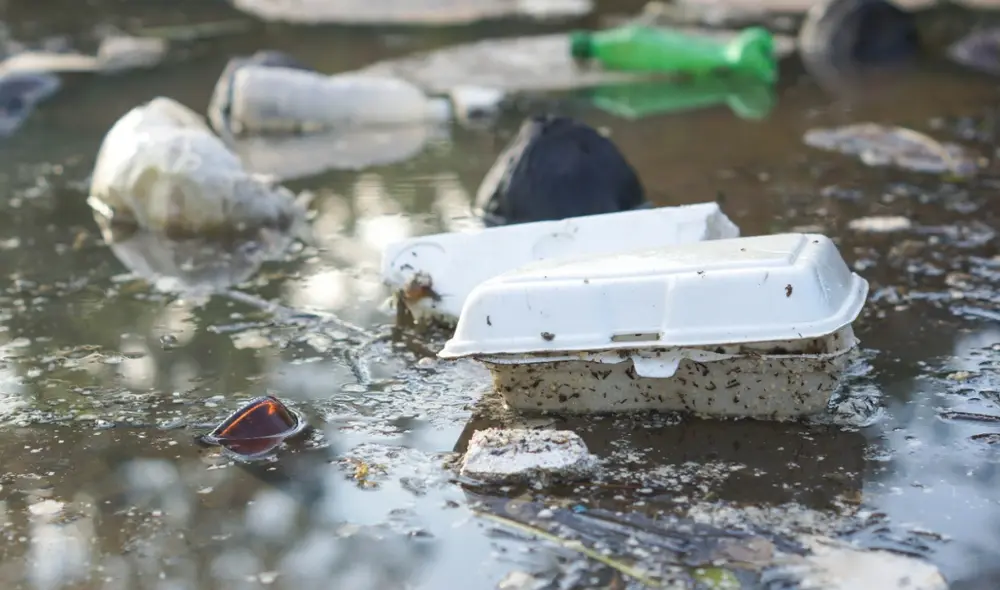 Fuerza Popular presentó un proyecto de ley para retrasar hasta el 2023 prohibición de envases de tecnopor. Foto: difusión Fuerza Popular presentó un proyecto de ley para retrasar hasta el 2023 prohibición de envases de tecnopor. Foto: difusión