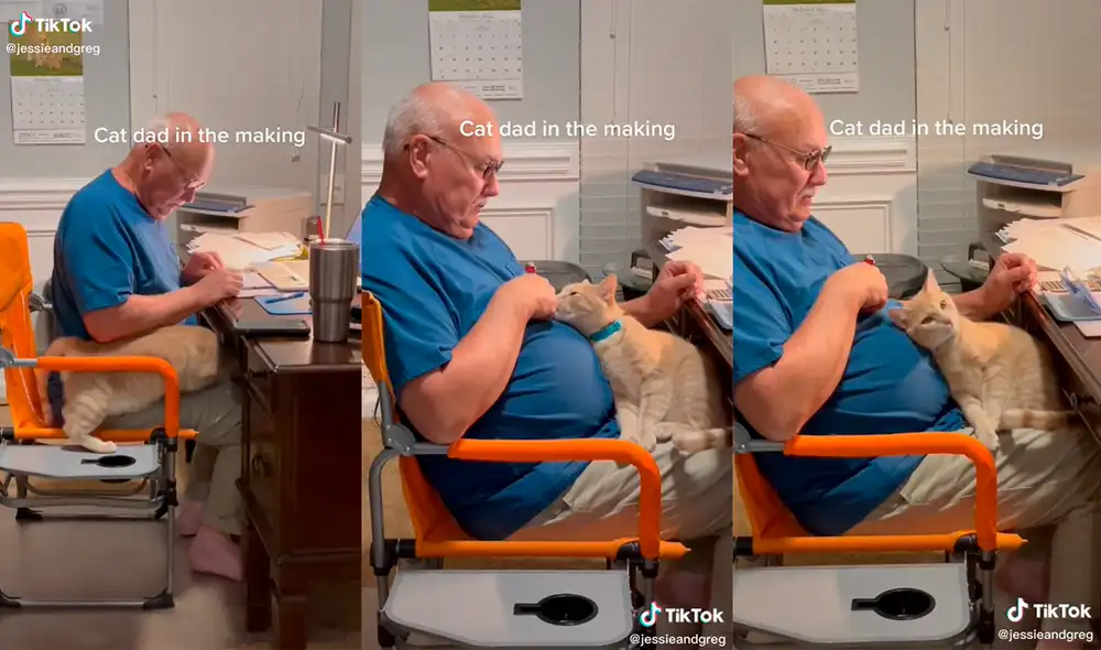 El minino cautivó a miles de usuarios con su emotiva actuación junto al hombre. Foto: captura de TikTok El minino cautivó a miles de usuarios con su emotiva actuación junto al hombre. Foto: captura de TikTok