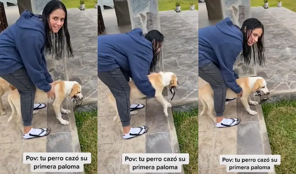 Los intentos de la joven para que su mascota suelte la paloma fueron en vano. Foto: captura de TikTok