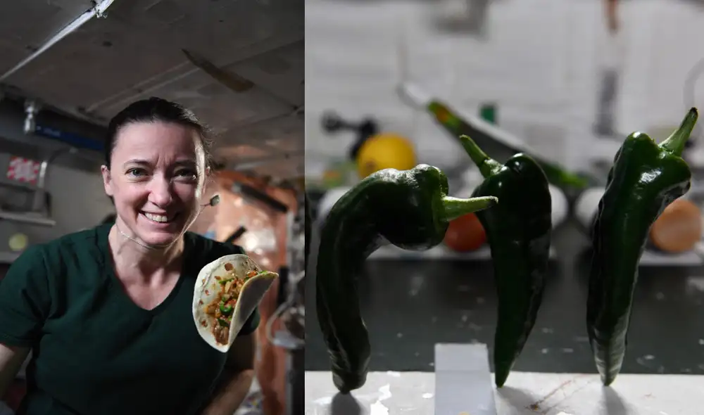 La astronauta Megan McArthur y los chiles cultivados en la EEI. Foto: Twitter / Megan McArthur / NASA