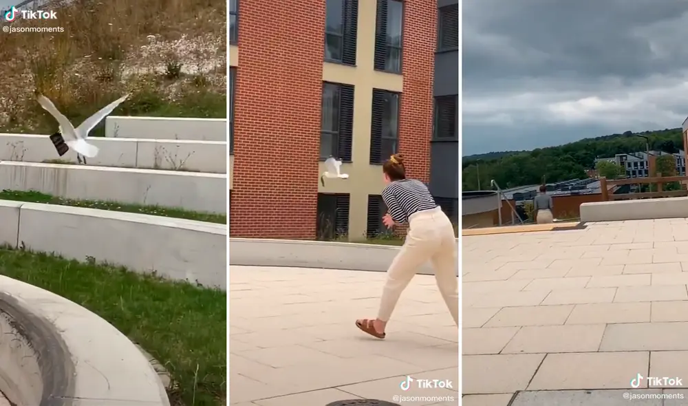 La turista no salía de su asombro por haber sido víctima del 'atraco' de una paloma. Foto: captura de TikTok