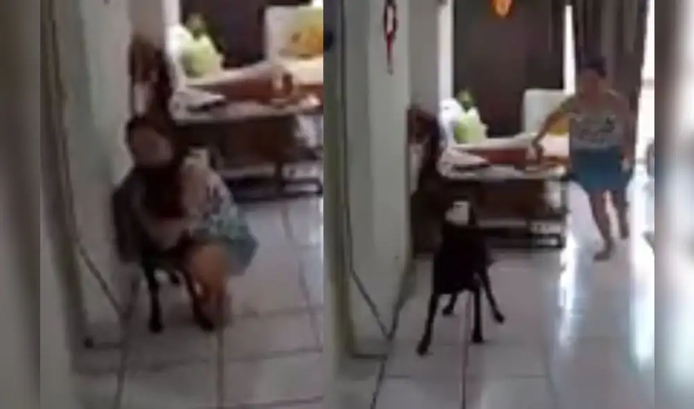 El heroico gesto de la dueña de Owen fue captado por las cámaras de seguridad de la casa. Foto: captura de Facebook