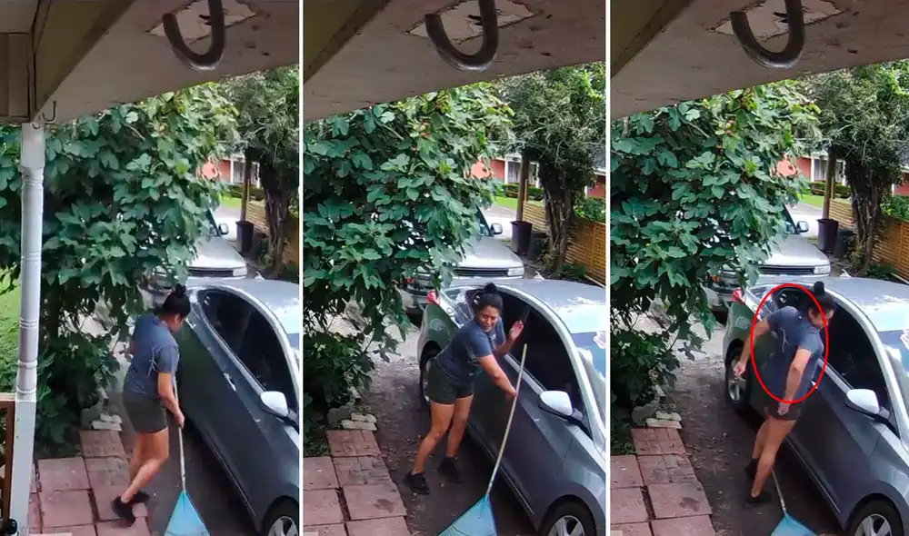 El animal aprovechó que el árbol estaba cerca de la mujer para treparse en su espalda. Foto: captura de TikTok El animal aprovechó que el árbol estaba cerca de la mujer para treparse en su espalda. Foto: captura de TikTok