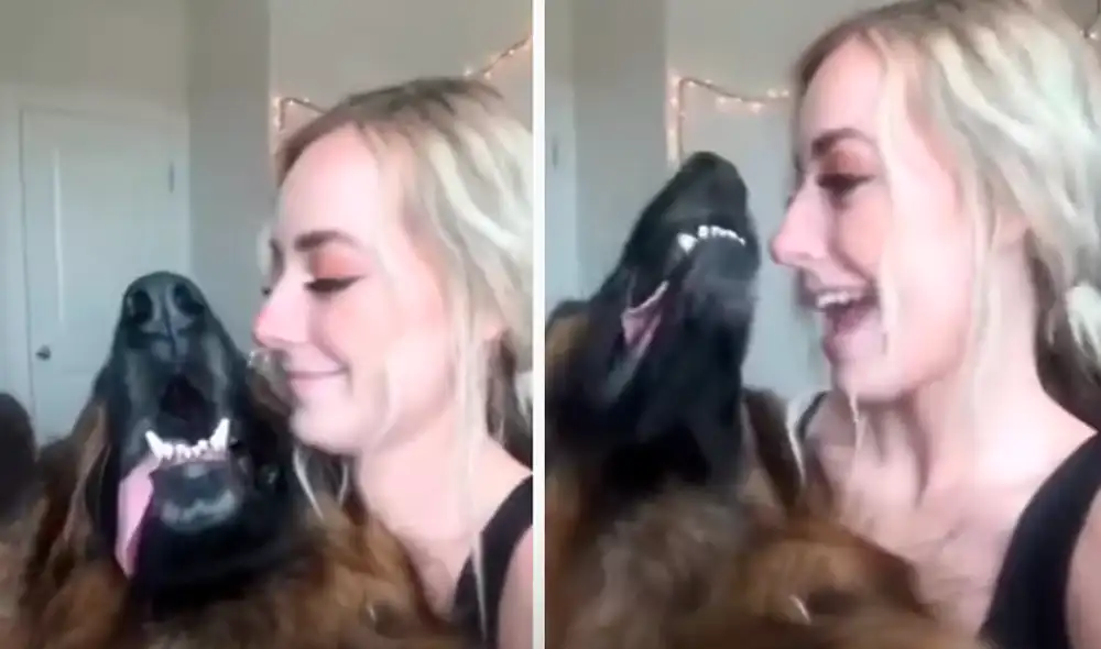 El video viral ha sido compartido en la página German Shepherd Life. Foto: captura de Facebook El video viral ha sido compartido en la página German Shepherd Life. Foto: captura de Facebook