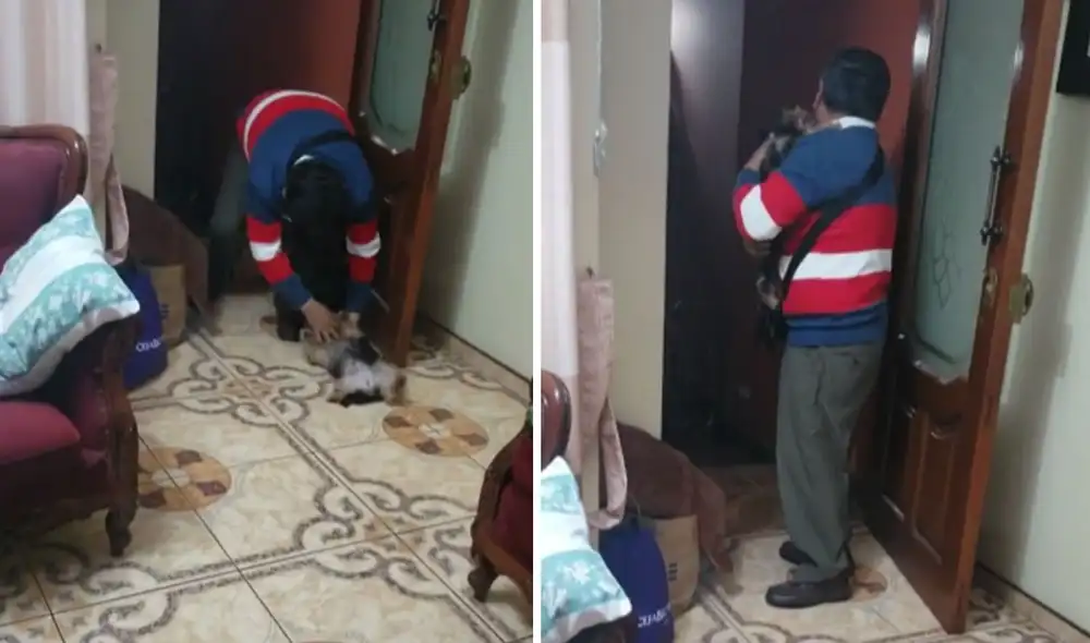 Cuando el adulto mayor abre la puerta, es el cachorro el primero en salir a saludarlo. Foto: captura de TikTok