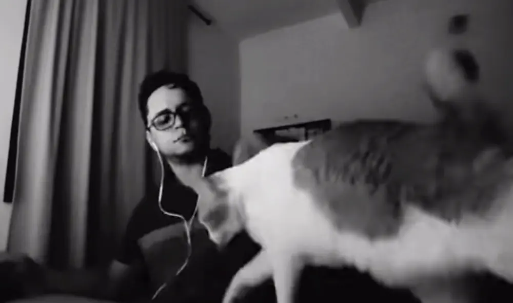 Un joven comentó en su trabajo que no podía terminar a causa de la travesura de su gatito, por ello, lo grabó a escondidas para que le crean sus compañeros. Foto: captura de YouTube