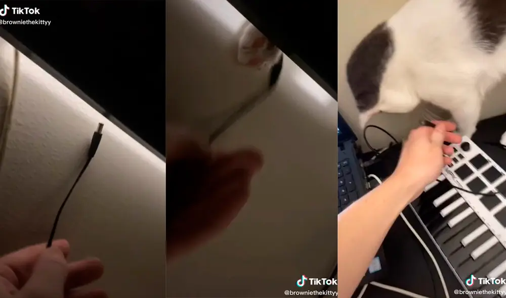 La tierna dupla causó sensación en las redes por la divertida escena que desarrollaron. Foto: captura de TikTok