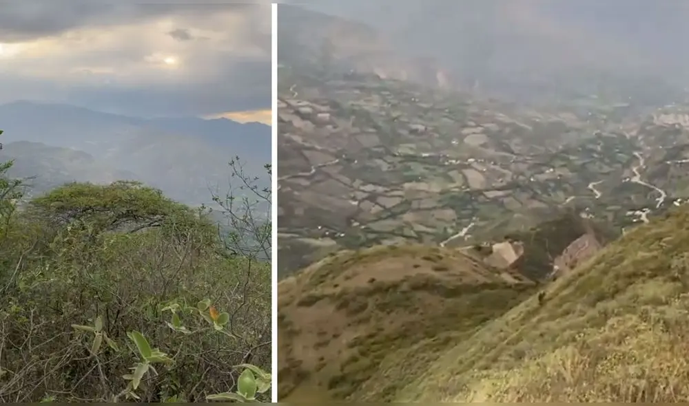 Pendiente donde fue encontrado el cuerpo de Gregoria Angélica Cabanillas Castillo, de 77 años. Foto: captura/MarkaTv.pe Pendiente donde fue encontrado el cuerpo de Gregoria Angélica Cabanillas Castillo, de 77 años. Foto: captura/MarkaTv.pe