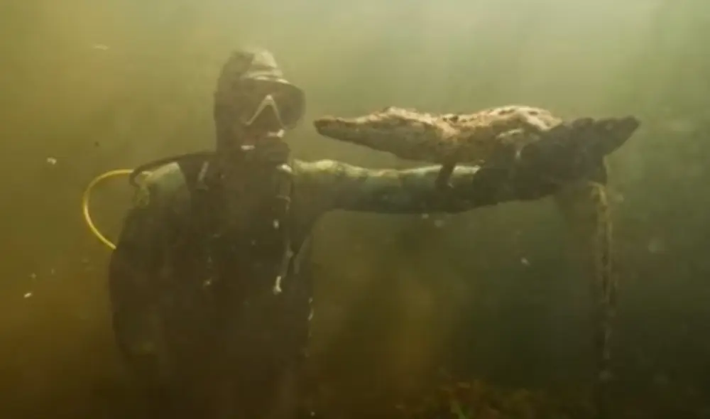 El video viral ha sido compartido en el canal Florida's Wildest. Foto: captura de YouTube