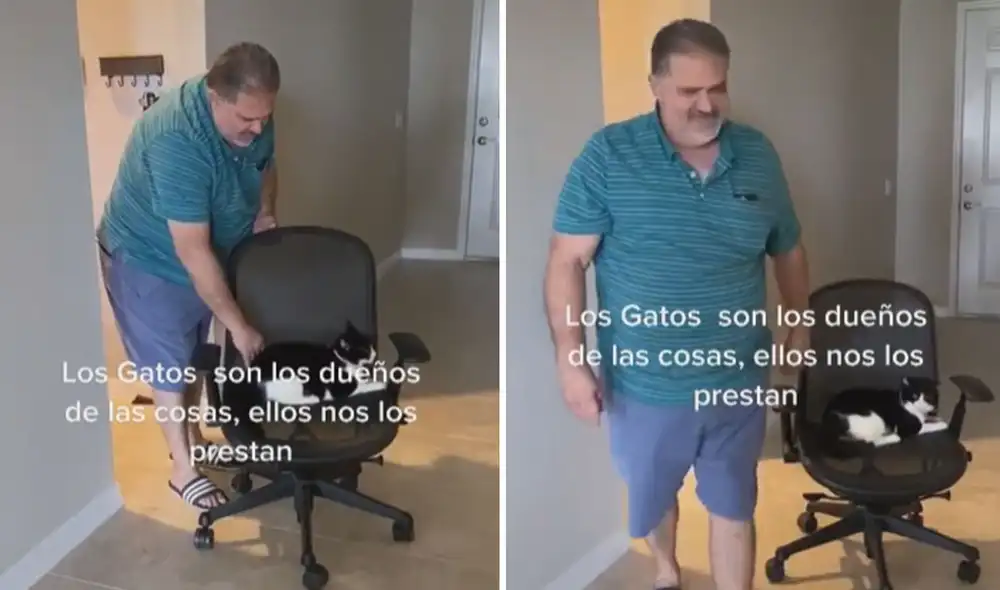 Un hombre intenta ir hasta su asiento para comenzar a trabajar; sin embargo, su ‘malcriado’ gato le había ganado el sitio. Foto: captura de TikTok Un hombre intenta ir hasta su asiento para comenzar a trabajar; sin embargo, su ‘malcriado’ gato le había ganado el sitio. Foto: captura de TikTok