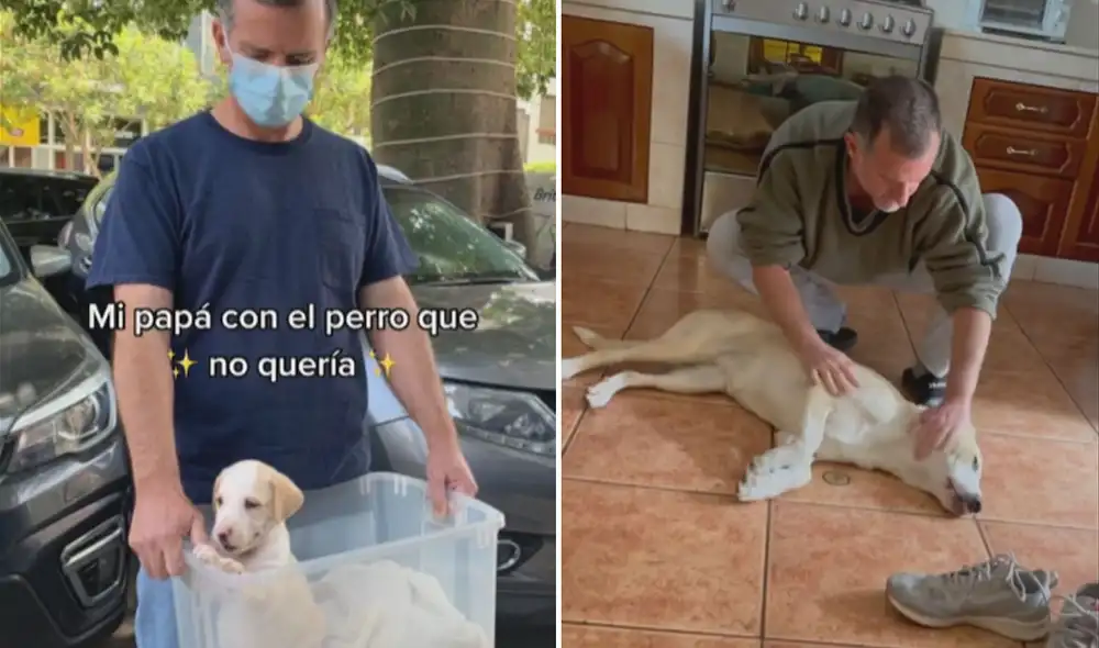El video consta de varios clips en los que se muestra lo bien que se llevan su padre y su mascota. Foto: captura de TikTok El video consta de varios clips en los que se muestra lo bien que se llevan su padre y su mascota. Foto: captura de TikTok