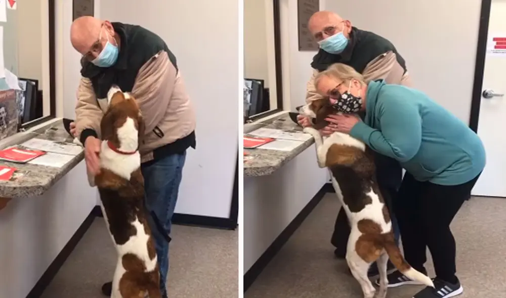 Una perrita recibió abrazos y caricias por parte de sus nuevos dueños, quienes manejaron por dos horas para recogerla de un refugio. Foto: captura de Facebook