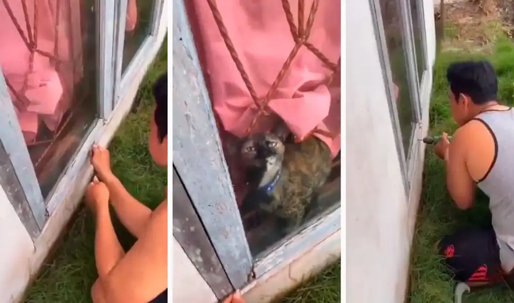 Un joven se preocupó por la ausencia de su gatito; sin embargo, no imaginó que este se había metido en problemas e hizo todo lo posible para ayudarlo. Foto: captura de YouTube Un joven se preocupó por la ausencia de su gatito; sin embargo, no imaginó que este se había metido en problemas e hizo todo lo posible para ayudarlo. Foto: captura de YouTube