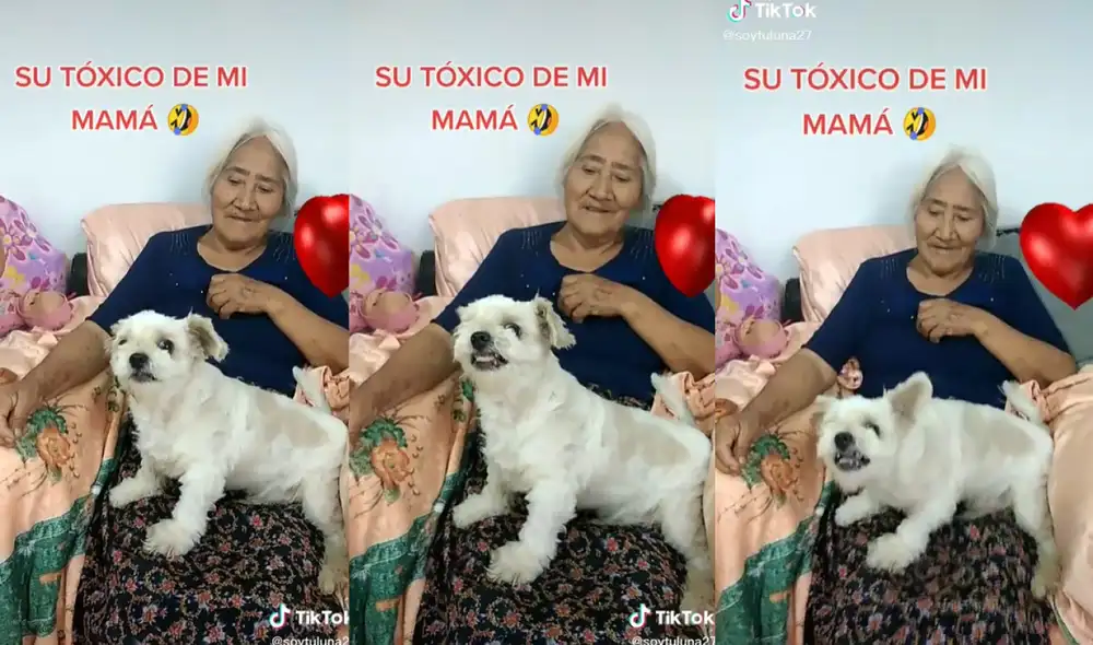 La hija de la señora intentaba provocar al can mencionando que se iba a llevar a su mamá a su casa. Foto: captura de TikTok La hija de la señora intentaba provocar al can mencionando que se iba a llevar a su mamá a su casa. Foto: captura de TikTok