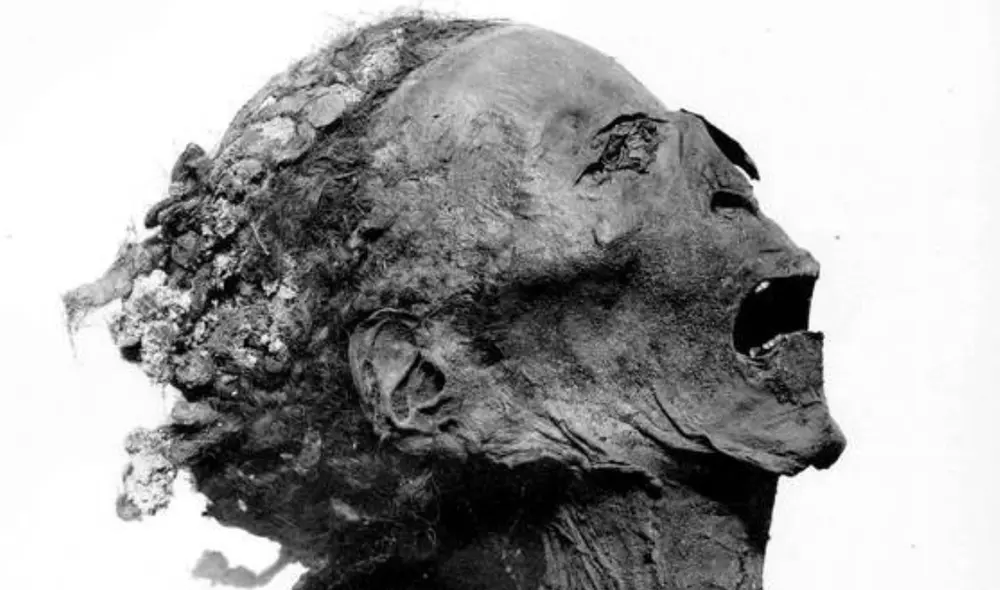 Pese a que fue descubierta en 1881, recién en este siglo un estudio de ADN reveló su identidad y las posibles causas de su muerte. Foto: G. Elliiot Smith / Museo del Cairo