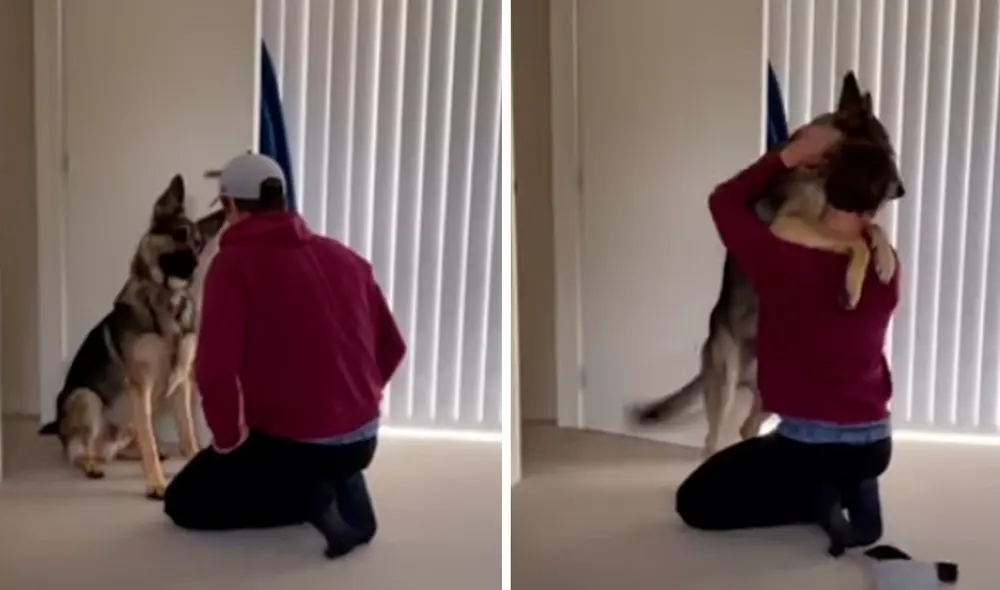 El video ha sido compartido en la página Rumble Viral. Foto: captura de Facebook