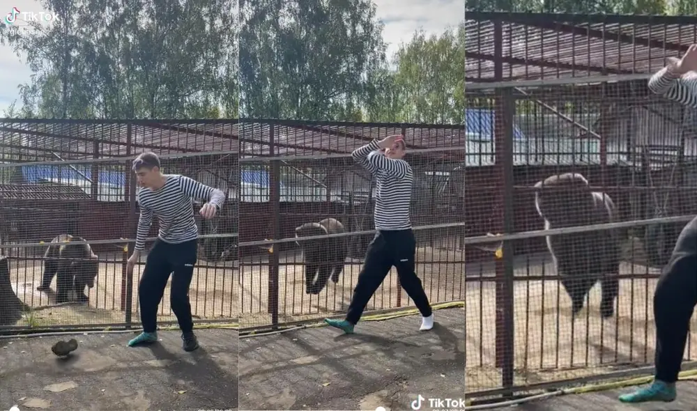 A pesar de que el joven es una sensación en TikTok, el oso se robó la atención de los usuarios. Foto: captura de TikTok