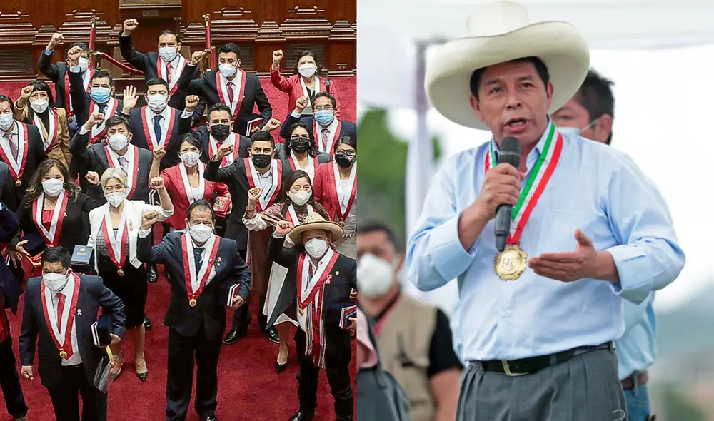 Cerronistas y castillistas votaron diferente en la sesión de investidura. Foto: difusión/Presidencia