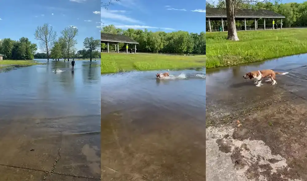 El pequeño protagonista de este clip reside en la ciudad de Grafton, Illinois, USA. Foto: captura de YouTube