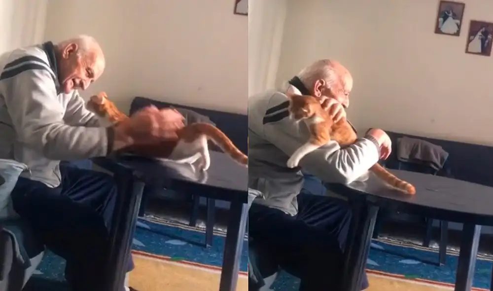 El hombre logró cautivar a miles de cibernautas con la adorable interacción con su mascota. Foto: captura de TikTok