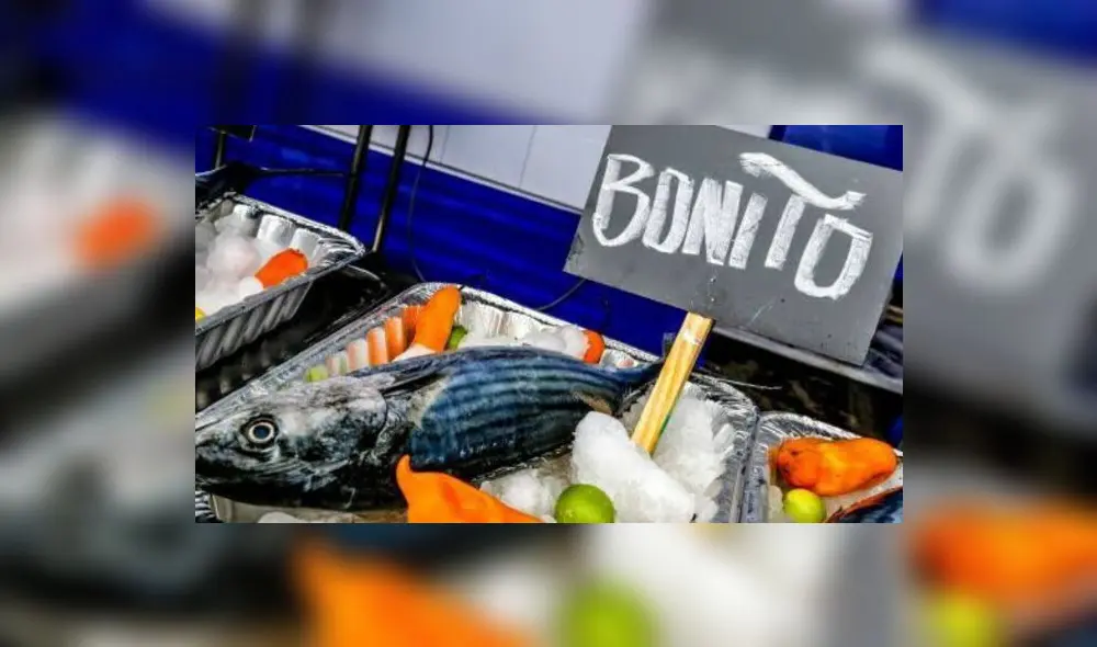 Se sancionará a los que incumplan la veda. Foto: Produce Se sancionará a los que incumplan la veda. Foto: Produce