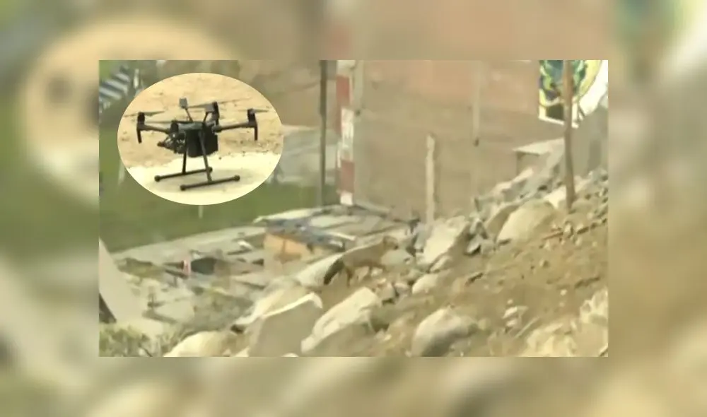 Una vez que el zorro sea atrapado, será reubicado en el Zoológico de Huachipa. Foto: captura América Noticias