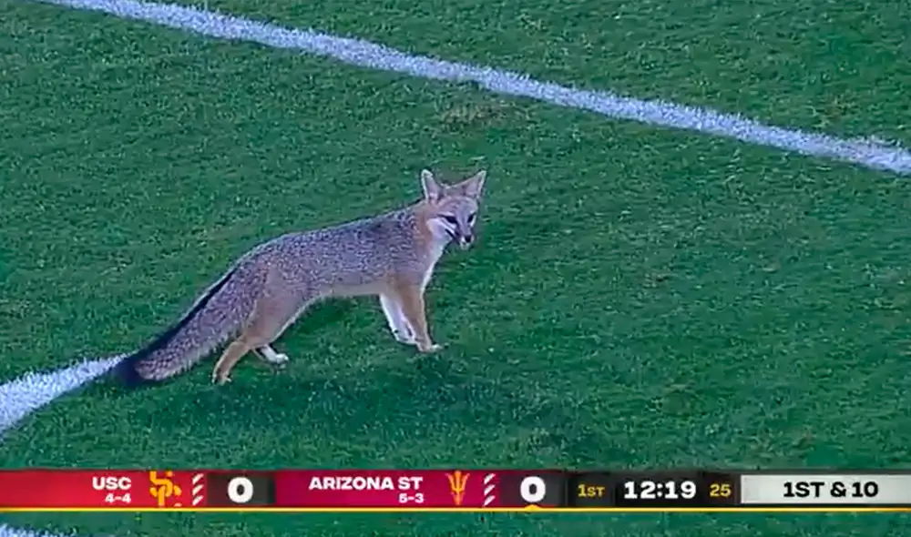 Tras la reanudación USC Trojans derrotó 41-34 a Arizona Widcats. Foto: Captura ESPN