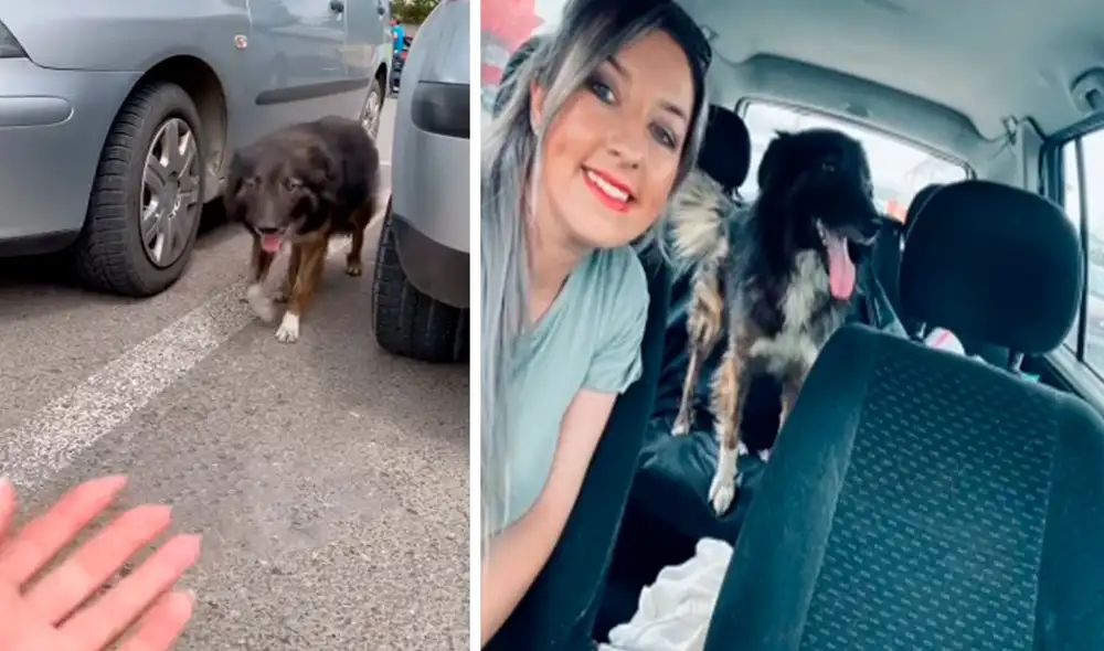 Una joven esperaba a su pareja en el interior de su vehículo cuando fue sorprendida por un perrito que había sido abandonado por sus dueños. Foto: captura de YouTube Una joven esperaba a su pareja en el interior de su vehículo cuando fue sorprendida por un perrito que había sido abandonado por sus dueños. Foto: captura de YouTube