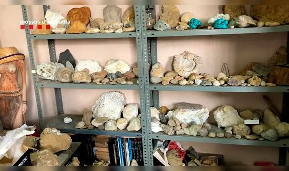 El hombre se llevaba a su domicilio los restos prehistóricos protegidos en Cataluña. Foto: Mossos d'Esquadra El hombre se llevaba a su domicilio los restos prehistóricos protegidos en Cataluña. Foto: Mossos d'Esquadra