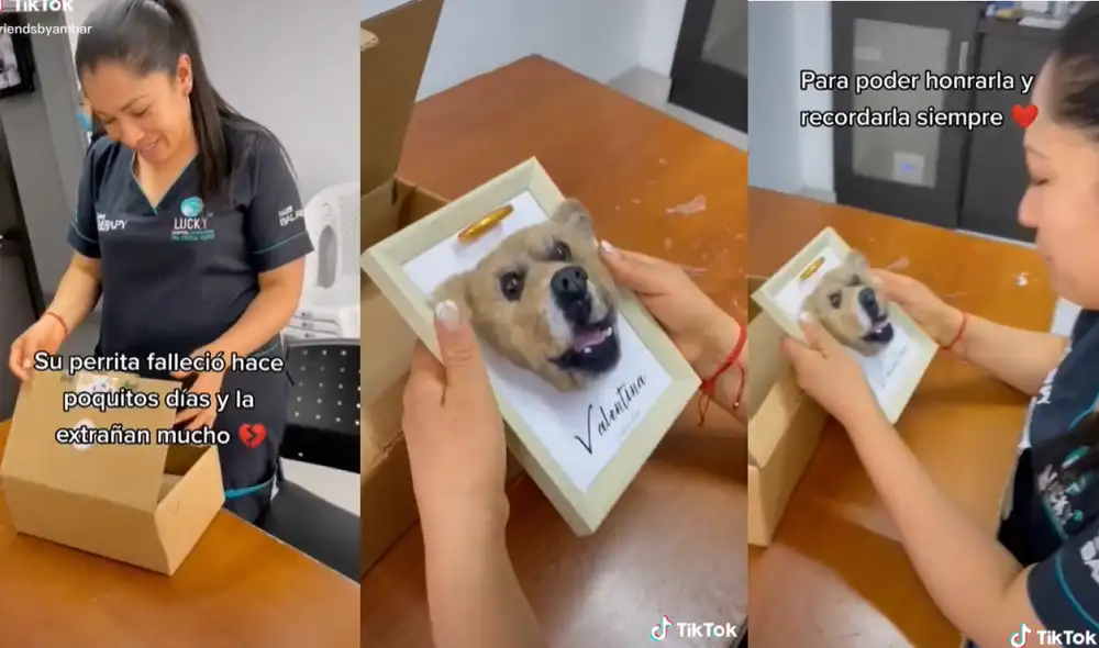 La joven se mostró emocionada la recibir el regalo que habían preparado sus amigos. Foto: captura de TikTok La joven se mostró emocionada la recibir el regalo que habían preparado sus amigos. Foto: captura de TikTok