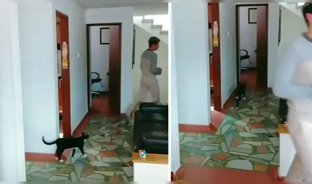 El usuario de TikTok @setybastet publicó el popular clip, el cual ya ha conseguido más de 421.700 reproducciones. Foto: captura de TikTok