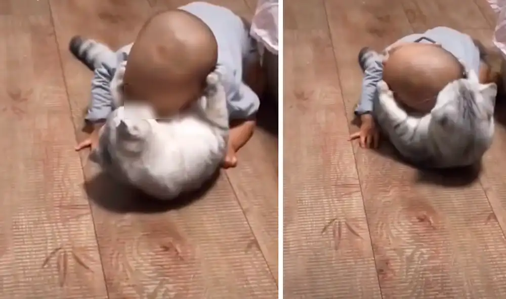 El video viral ha causado gran sensación en las redes sociales. Foto: captura de TikTok